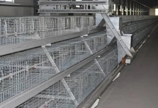 Automatic Poultry Cage System/Drinking Line/Chicken House /Poultry Farm Equipment