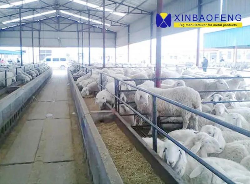 Manufacturer of High Quality Hot DIP Galvanized Cattle Fence/Deer Fence/Sheep Fence for Livestock