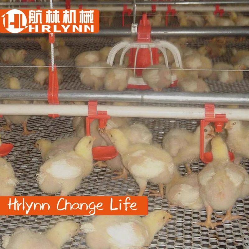 High Quality Broiler and Parental Chicken Feeder