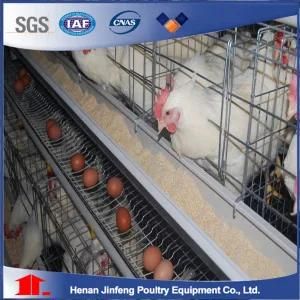 Automatic Chicken Layer/Borilercgae Farm Equipment for Sale Poultry Battery Cage Fowl Cage ...