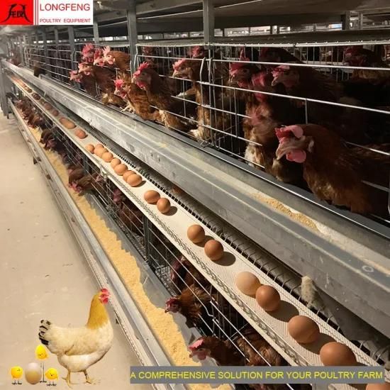 Low Egg Broken Rate Stable Running Layer Cage Valid for 15-20 Years