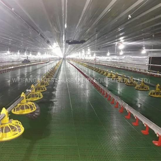 Automatic Broiler Farm Poultry Feeder for Chicken