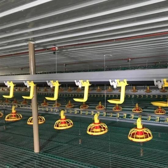2021 Popular Poultry Farm Construction for Broiler/Breeder/Layer Chicken Growing
