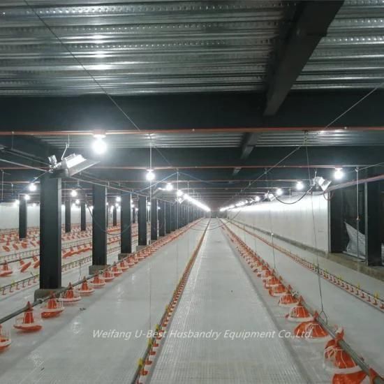 Automatic Broiler Floor Feeding System for Poultry Farm