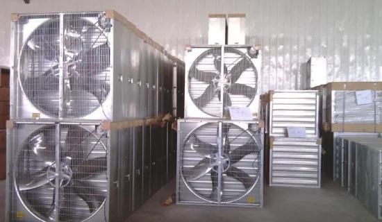 Ventilation/Axial Exhaust Cone/Cooling Farming Exhaust Fan for Poultry Farm/Greenhouse/Pig ...