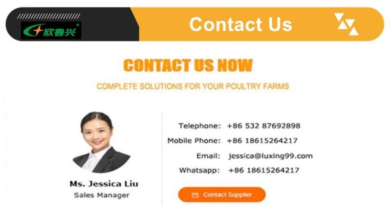 Chicken Layer Battery Cage Automatic Rearing Equipment Livestock Cage