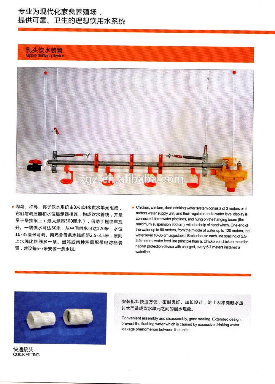 High Quality Easily Feeding Technical Low Cost Chicken System