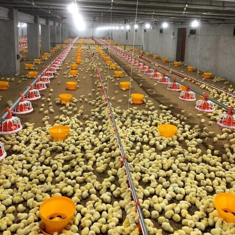 Automatic Broiler Chicken Farm Environment Control System