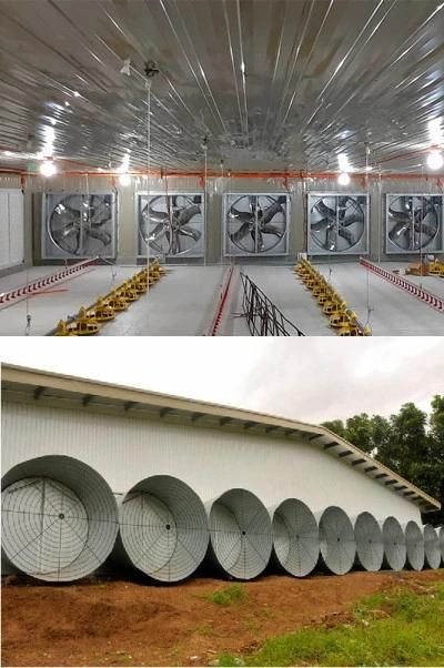 Double Deck Philippines Houses Prefabricated Tunnel Ventilation System Poultry House for Chicken Farm