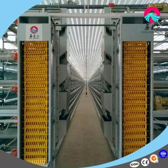Layer Cage of Poultry Equipment