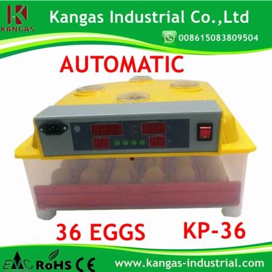 2020 New Business Full Automatic Cheapest Price Chicken Egg Incubator (KP-36)