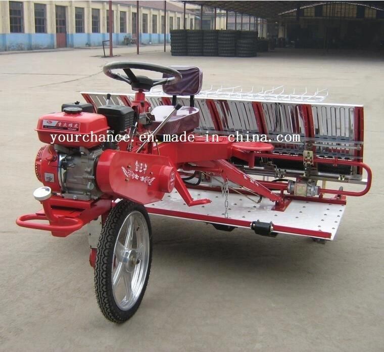 India Hot Sale 2z-8238 8 Rows 238mm Width Riding Type High Quality Cheap Rice Transplanter