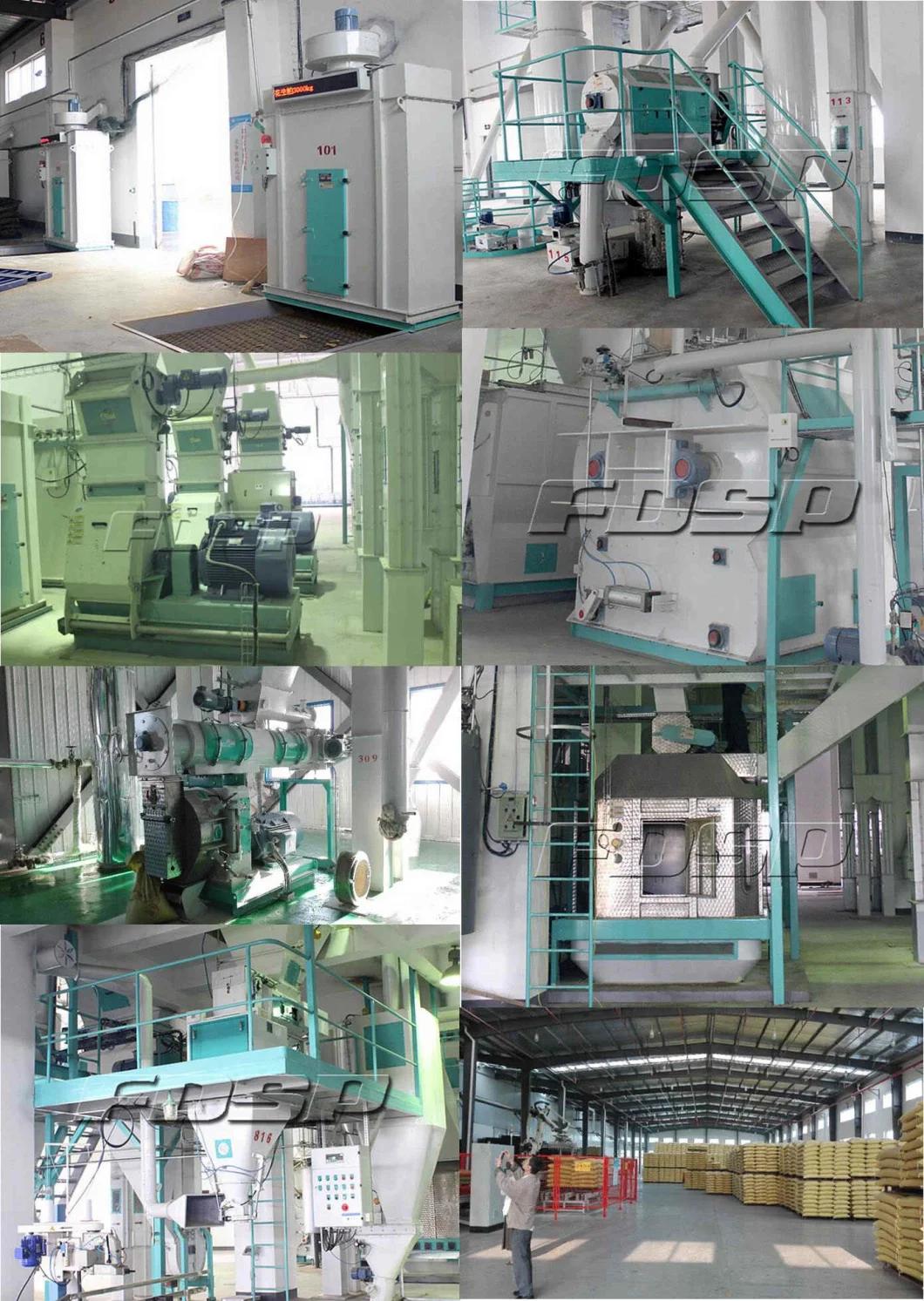 Turnkey Poultry Projects Poultry Processing Plant with Low Cost