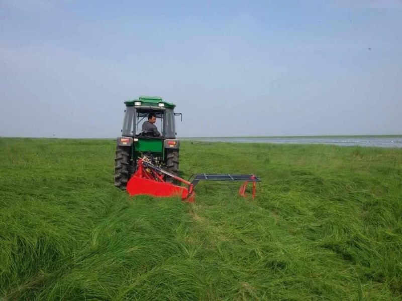 Tractor Mounted Rotary Disc Mowing Machine, Pasture Grass Cutting Machine, Lucerne Cutting Machine