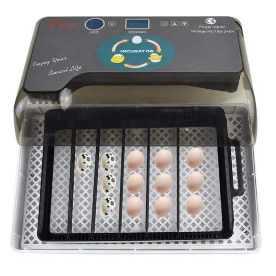Mini 12 Chicken Incubator Egg Manufacturers Fertile Parrot Egg Incubators Hatching Machine ...
