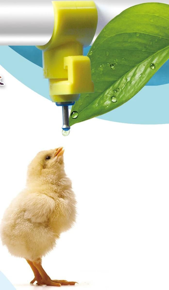 Poultry Nipple Drinker System for Cage or Floor Breeding