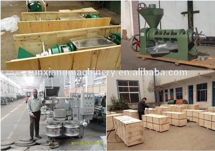 Vegetable Fruit Seeds Oil Mill Cold Press Expeller Processing Machine (WS6YL)