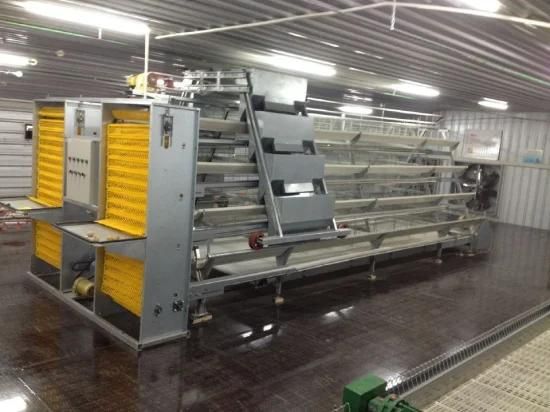 Cost-Efficient Galvanized Feed Tray of H-Type Layer Chicken Equipment