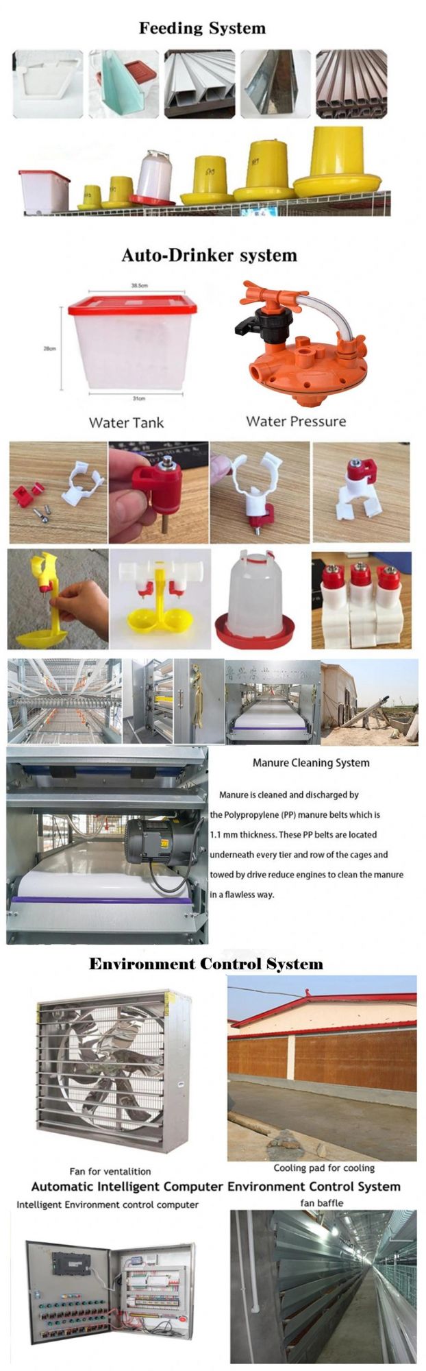 Chicken Poultry Farm Breeding Machine Equipment for Chicks