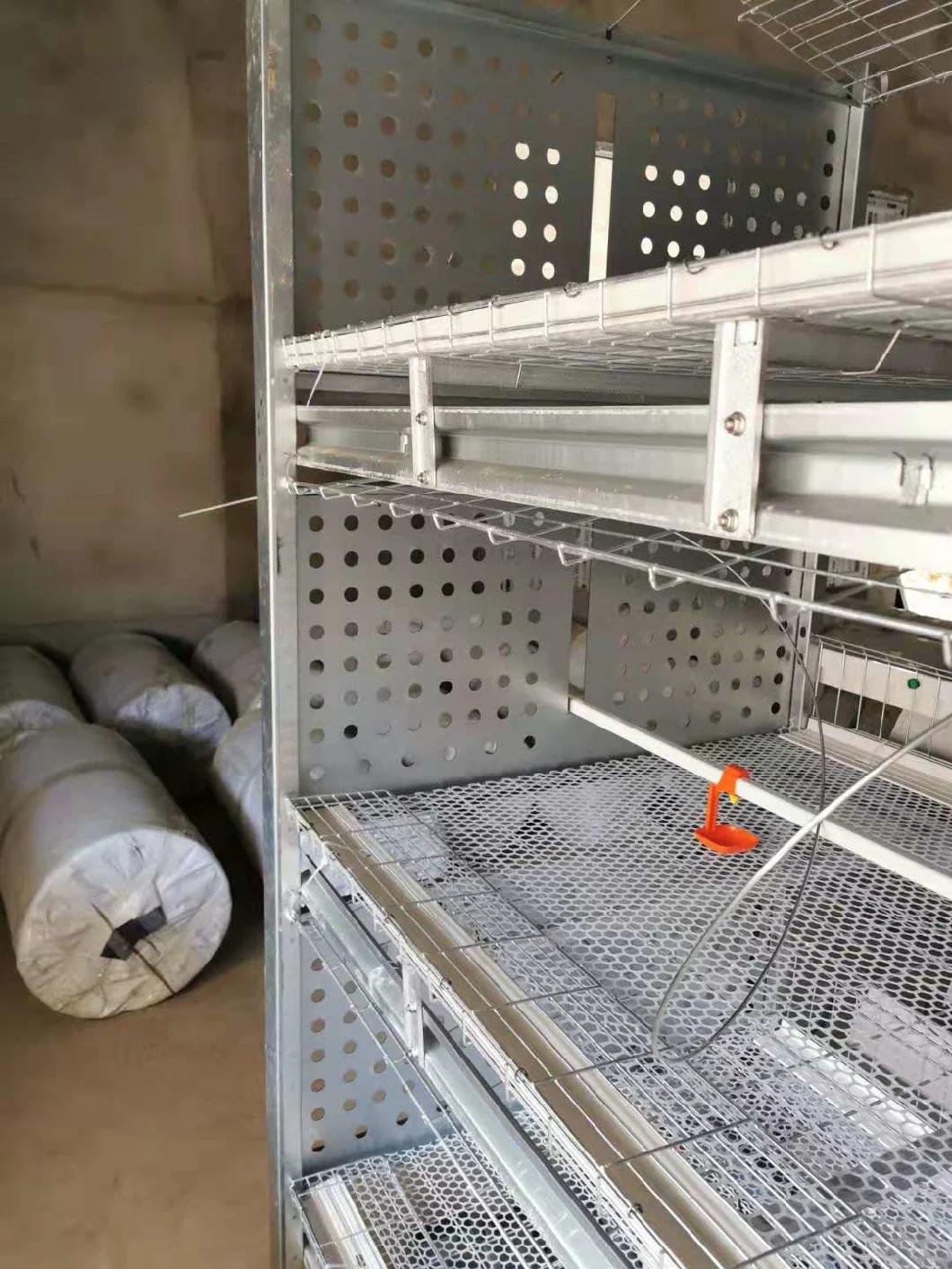 Malaysia H Type Cage for Brolier Layer and Rearing