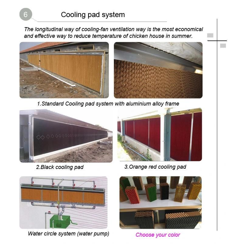 U-Best Prefab Chicken House Whole Automatic Poultry Equipment for Chicken Broiler Farm