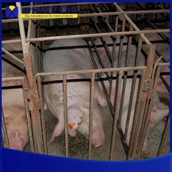 Factory Price Pig Farrowing Crates Pig Farming Equipment Farrowing Stalls