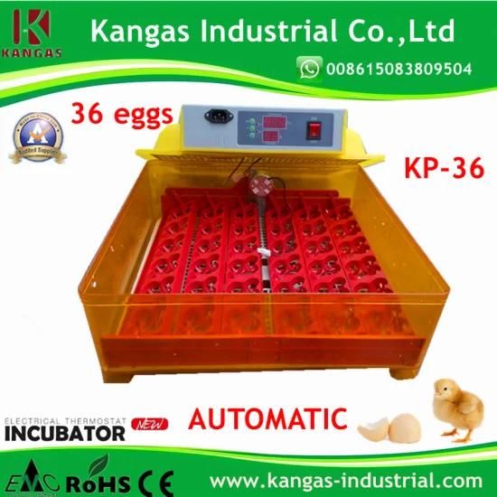 Full Automatic Small Ostrich Cheap Quail Chicken Egg Incubator (KP-36)
