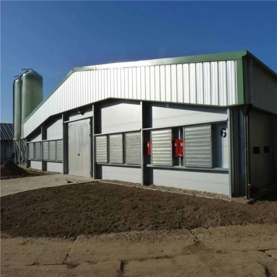 High Quality Best Steel Material Technical Automatic Chicken Poultry House