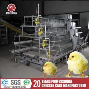 a Type 3 Tires Farm Chicken Cages for 20000 Hens for Make Eggs (A-3L90)