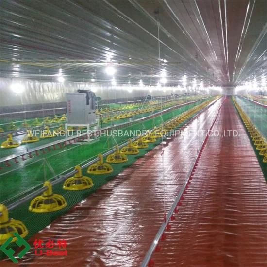 China Supplier Poultry Farm Control Shed in Pakistan for Broiler and Breeder