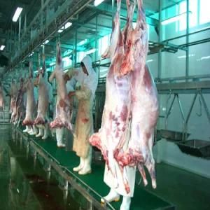Goat Meat Production Line Complete Halal Slaughter Equipment Plant Machinery Abattoir ...