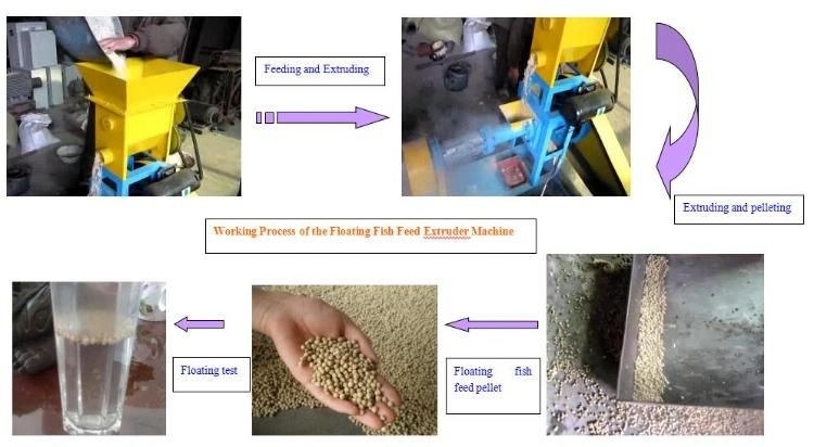 100-150kg/H Feed Processing Equipment Dog Cat Floating Fish Pellet Making Machine Fish Feed Extruder Hot Sell