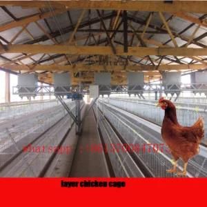 Automatic Poultry Farming Equipment/Chicken Layer Cage