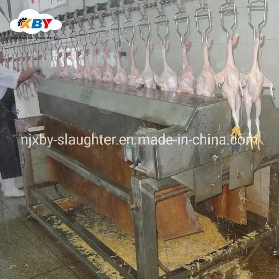 2021 New Design Automatic Poultry Processing System Integrated Solution Slaughter Machine ...