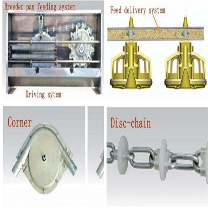 Advanced Breeder Feeding Equipment, Electric Lifting Material Line, Precise Tray Design, From Xgz Machinery Equipment Co., Ltd.