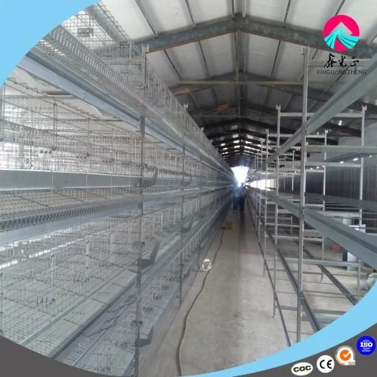 Poultry Feeding Equipment Broiler Chicken Cage