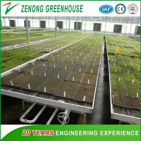 Good Quality Greenhouse Nursery Bed/Movable Seeding Bed/Rolling Bench