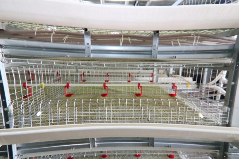 Poultry Farm Equipment Automatic Drinking Line Nipple Drinker for Broiler Breeder Layer Chickens