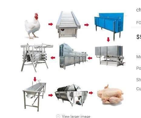 Used to Chicken Slaughter Equipment Line /Poultry Slaughter/Bird Plucking Processing ...