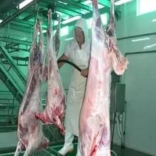 Halal Sheep Slaughtering Equipment with Conveyor Line