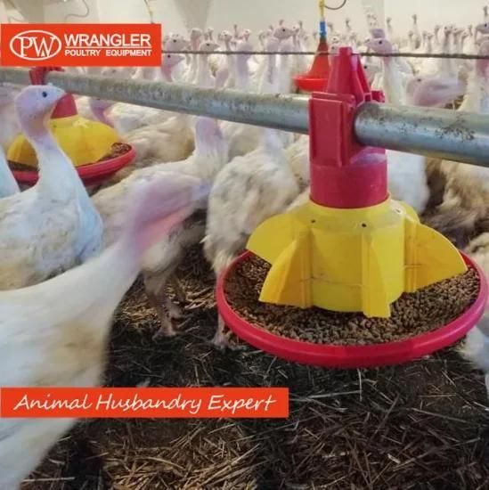 Poultry Feeder System for Chicken Broiler House