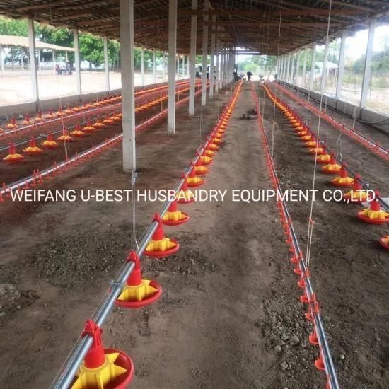 Modern Design Automatic Chicken Shed Poultry Farm Feeding Equipment