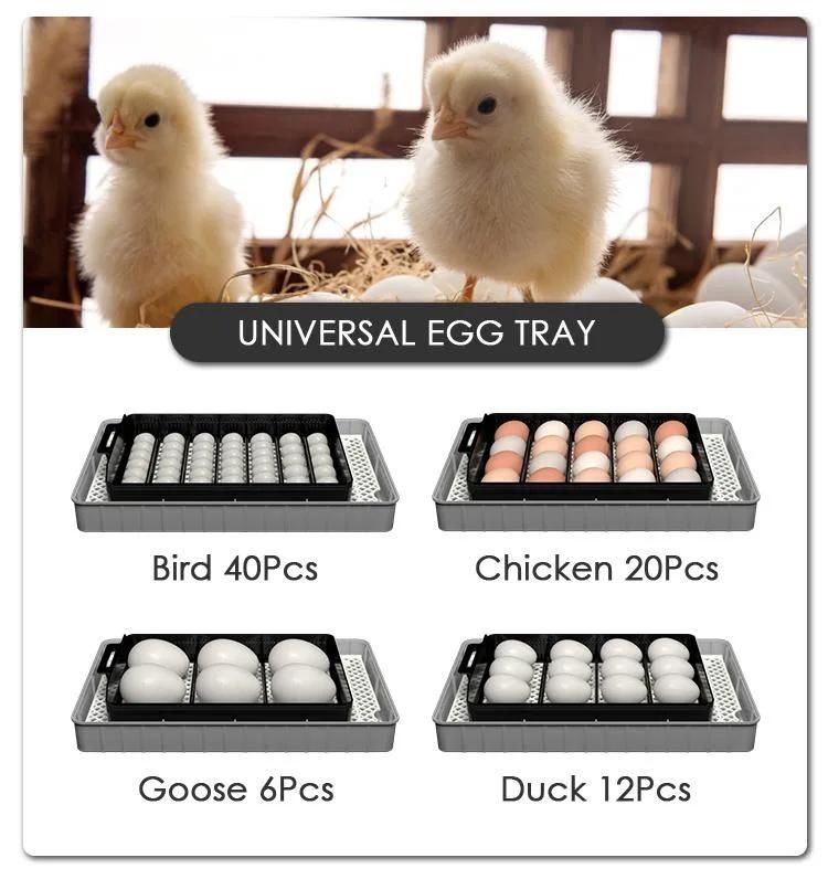 Hhd Game Fowl Incubator Hatching 20 Each Layer Automatic