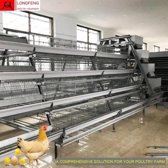 Lonfeng Poultry Farm Equipment for A Type of Layer Cage