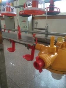New Design Broiler Feeding and Drinking System