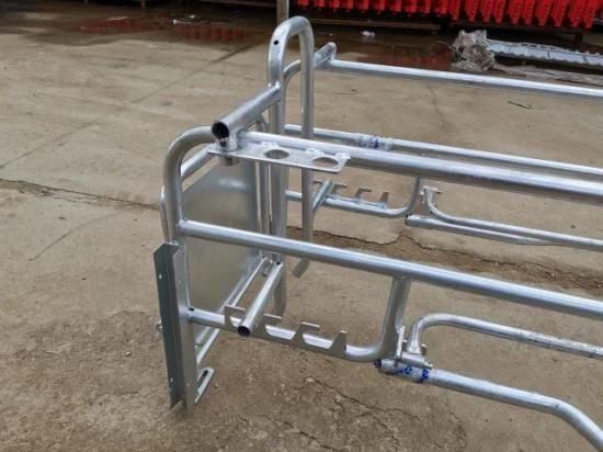 Machinery Galvanized Pig Farrowing Crate