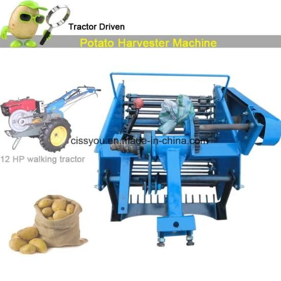 China Root Vegetable Agriculture Use Sweet Potato Garlic Harvester