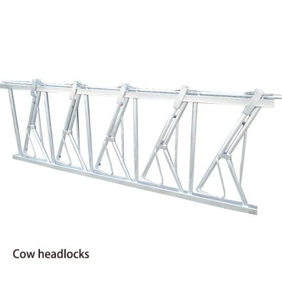 5 Space Safety IV Dairy Cow Cattle Headlocks System for Sale