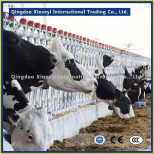 Livestock Using Top Quality Cattle Panel for Headlock