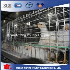 Hot Sale Broiler Poultry Shed Design Chicken Cage
